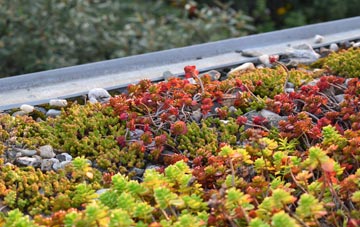 the cost of Edenthorpe green roof installation