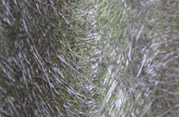 Edenthorpe fibreglass roof work